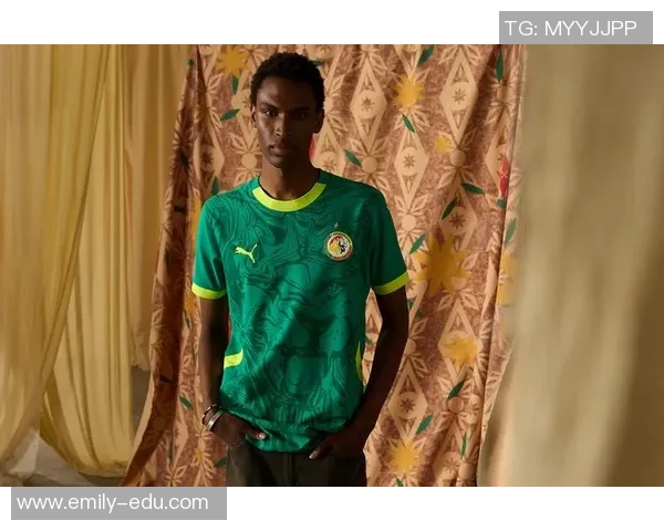 赛内加尔足球球星介绍及其在国际赛场上的突出表现